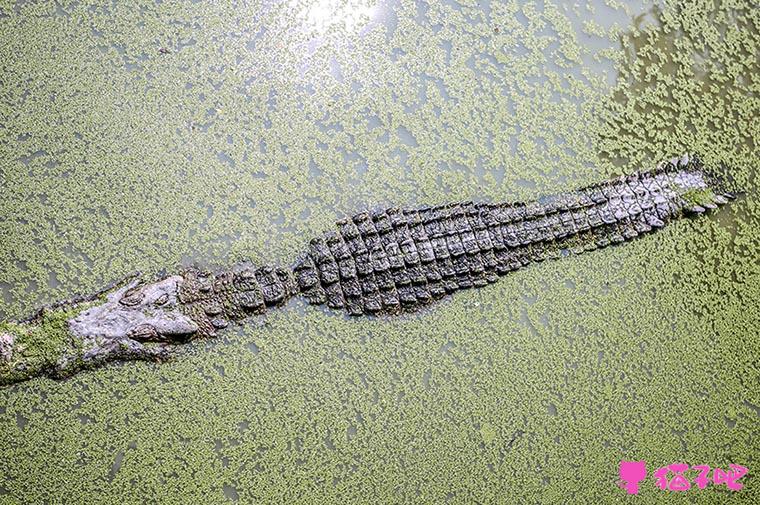 风水十书